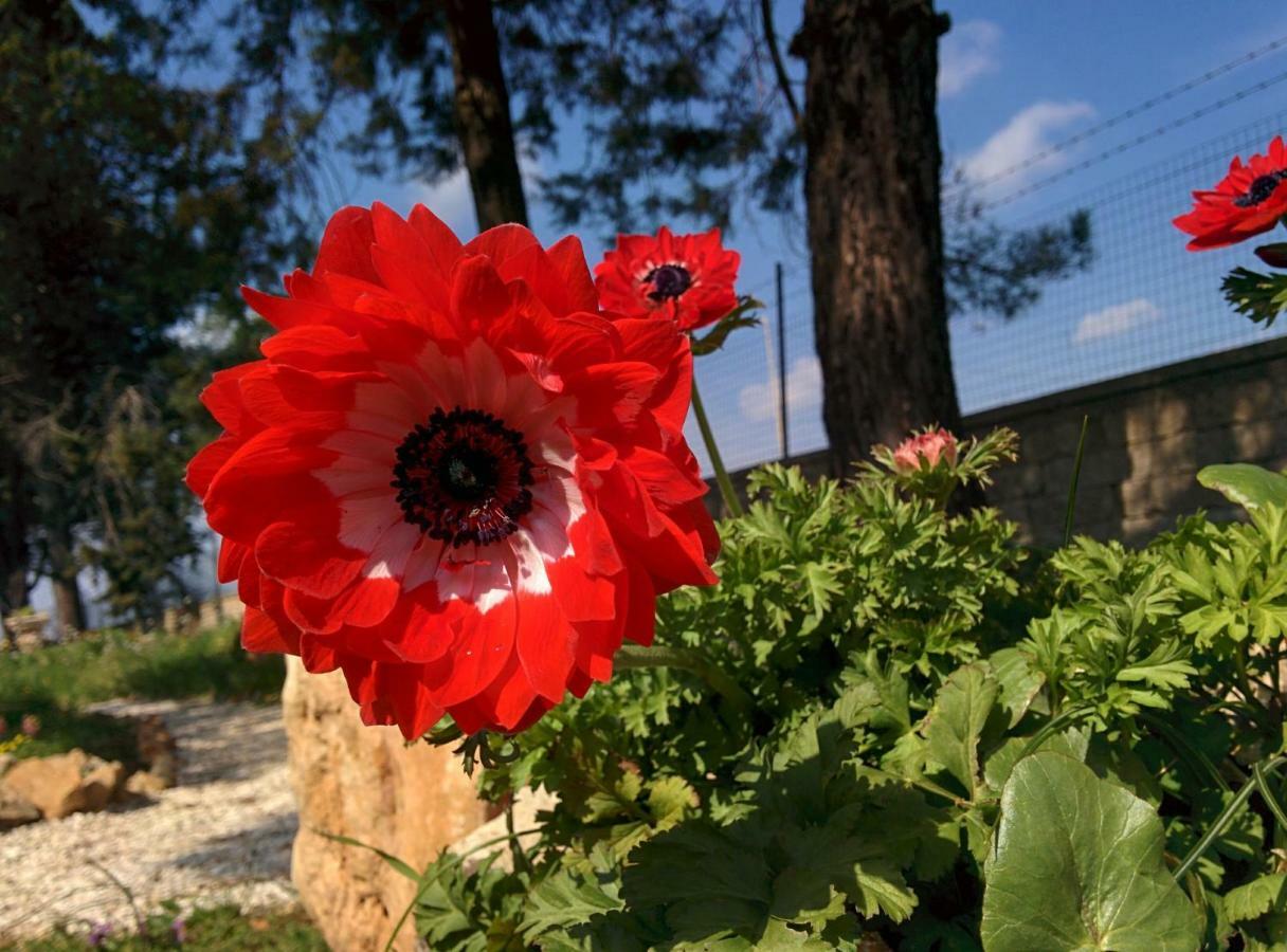 Villa 2 Fields Кастеланета Екстериор снимка
